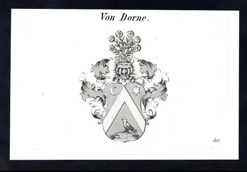 Von Dorne  -  Dorne Wappen coat of arms Heraldik Kupferstich antique print