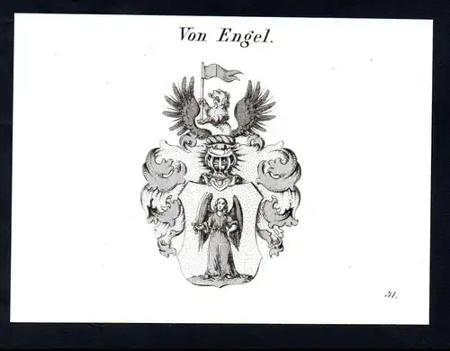 Von Engel  -  Engel Wappen coat of arms Heraldik Kupferstich antique print