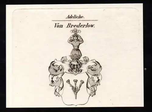 Von Brederlow. - Wappen coat of arms Adel Heraldik heraldry