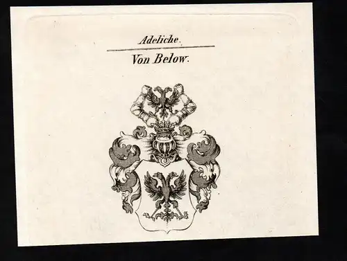 Von Below. - Wappen coat of arms Adel Heraldik heraldry