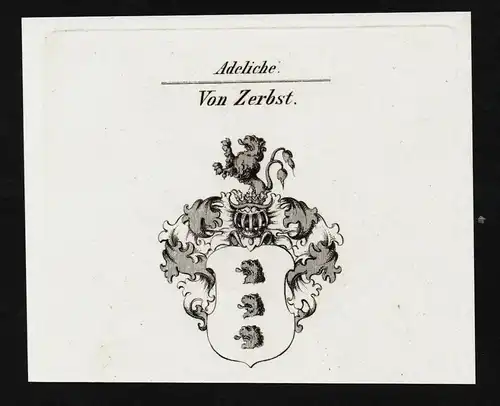 Von Zerbst - Wappen coat of arms Adel Heraldik heraldry