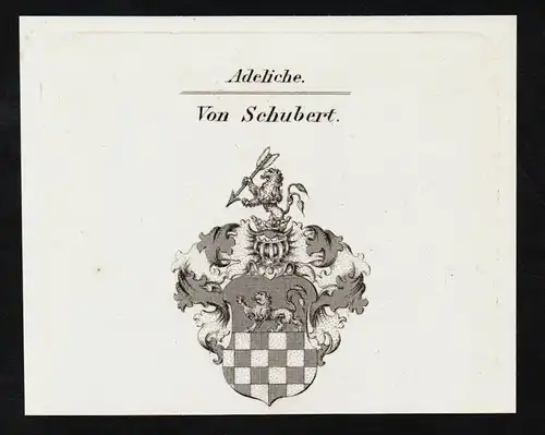 Von Schubert - Wappen coat of arms Adel Heraldik heraldry