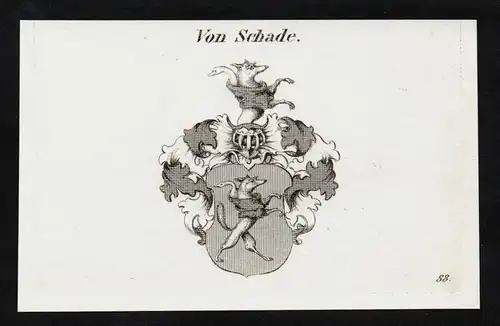 Von Schade - Wappen coat of arms Adel Heraldik heraldry