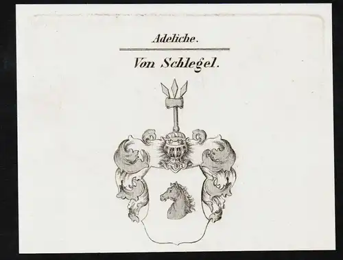 Von Schlegel - Wappen coat of arms Adel Heraldik heraldry