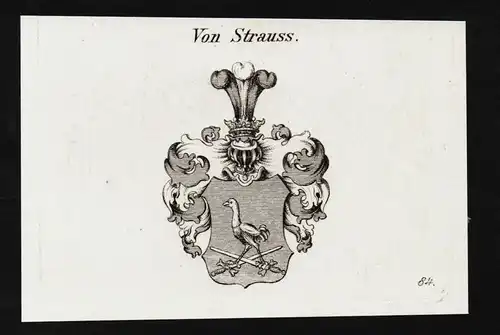 Von Strauss - Strauss Strauß Wappen coat of arms Adel Heraldik heraldry