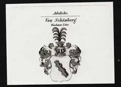 Von Schönberg. Wacheuer Linie. - Wappen coat of arms Adel Heraldik heraldry