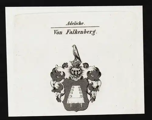 Von Falkenberg - Wappen coat of arms Adel Heraldik heraldry