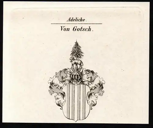 Von Gotsch - Wappen coat of arms Adel Heraldik heraldry
