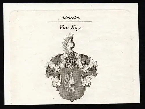 Von Kay - Wappen coat of arms Adel Heraldik heraldry