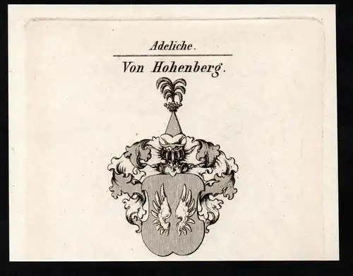 Von Hohenberg - Wappen coat of arms Adel Heraldik heraldry