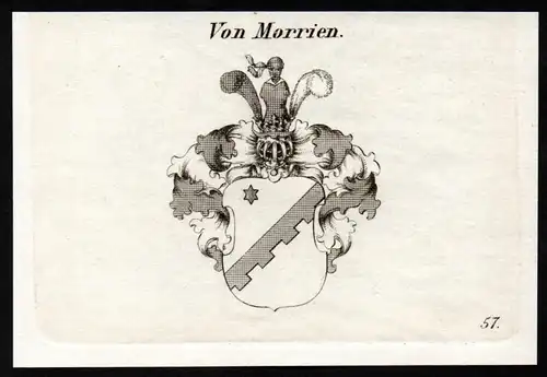 Von Morrien - Wappen coat of arms Adel Heraldik heraldry