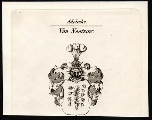 Von Neetzow - Wappen coat of arms Adel Heraldik heraldry