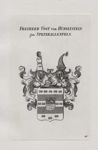 Freiherren Vogt von Hunoltstein, gennant Stein-Kallenfels - Vogt von Hunoltstein Steinkallenfels Wappen coat o