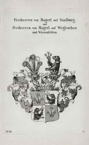 Freiherren von Magerl auf Saulburg, und Freiherren von Magerl auf Wegleuthen und Wiesenfelden - Wappen coat of