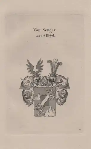 Von Senger. - sonst Rigel - Senger und Etterlin Wappen coat of arms Heraldik heraldry