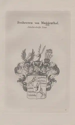 Freiherren von Muggenthal. Sonderstorfer Linie. - Wappen coat of arms Heraldik heraldry