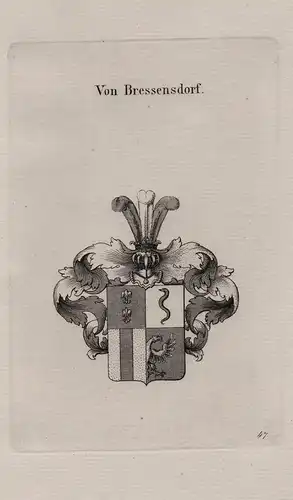 Von Bressensdorf - Wappen coat of arms Heraldik heraldry