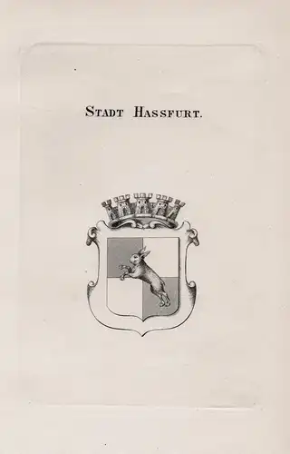 Stadt Hassfurt - Haßfurt Stadt Wappen coat of arms Heraldik heraldry