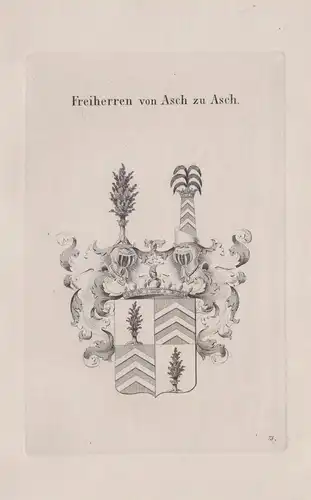 Freiherren von Asch zu Asch - Wappen coat of arms Heraldik heraldry