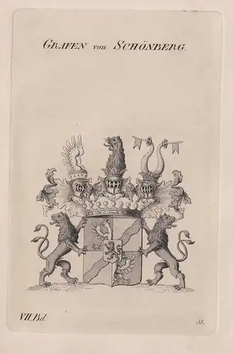 Grafen von Schönberg. - Wappen Adel coat of arms Heraldik heraldry