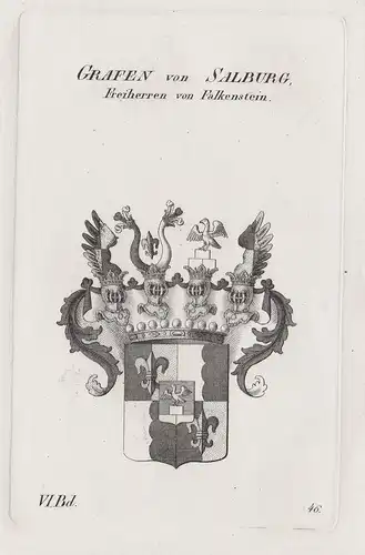 Grafen von Salburg, Freiherren von Falkenstein - Salburg Falkenstein Wappen Adel coat of arms Heraldik heraldr