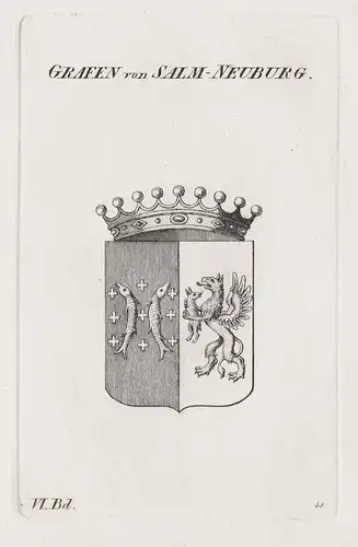 Grafen von Salm-Neuburg - Salm-Neuburg Wappen Adel coat of arms Heraldik heraldry