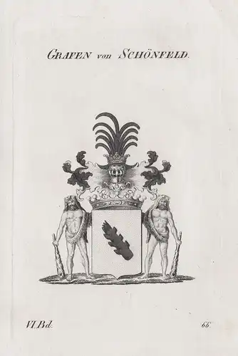 Grafen von Schönfeld - Wappen Adel coat of arms Heraldik heraldry