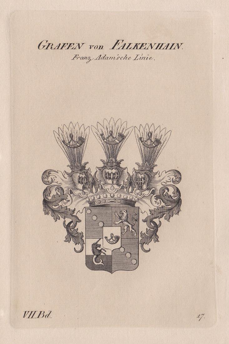 Grafen von Falkenhain. Franz Adam'sche Linie. Wappen Adel coat of