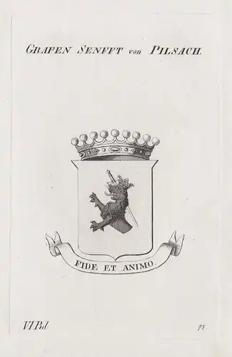 Grafen Senfft von Pilsach - Wappen Adel coat of arms Heraldik heraldry