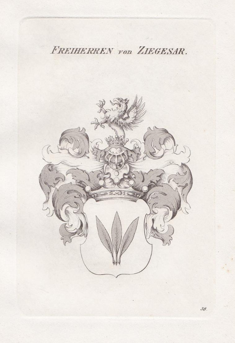 Freiherren von Kern. Wappen Adel coat of arms Heraldik heraldry Nr. 1412546480 oldthing