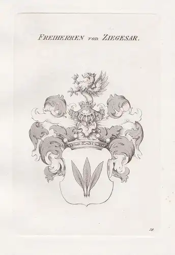 Freiherren von Ziegesar. - Ziegesar Wappen Adel coat of arms Heraldik heraldry