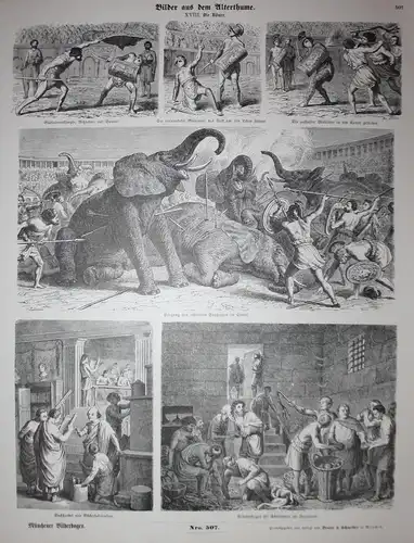 Bilder aus dem Alterthume. XVIII. Die Römer. - Römer Antike Altertum Circus Maximus Gladiatoren Elefant Münche