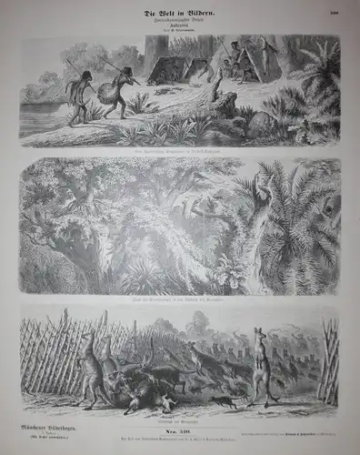 Die Welt in Bildern. Zweiundzwanzigster Bogen. - Australien Australia Kängurus Aborigines Münchener Bilderboge
