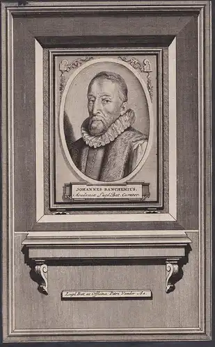 Johannes Banchemius. - Johan van Banchem (1540-1601) Dutch politician Leiden Den Haag Angers Portrait