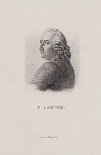 P. Camper. - Petrus Camper (1722-1789) Dutch anatomist Zoologist naturalist paleontologist Göttingen Franeker
