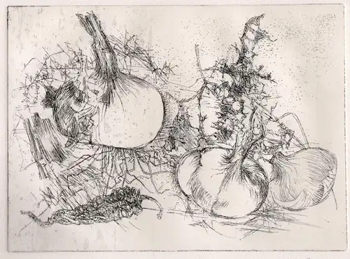 Zwiebeln Zwiebel onion onions Radierung etching signiert signed