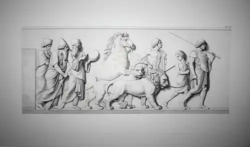 Tab. VII. - Astrologen astrologers Löwe lion Löwen lions Antike antiquity Radierung etching