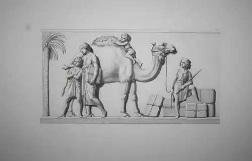 Tab. I. - Kamel camel Antike antiquity Radierung etching