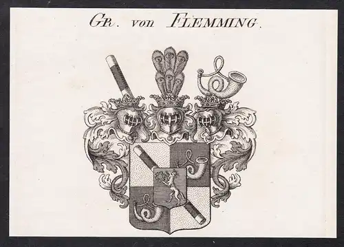 Gr. von Flemming - Wappen coat of arms