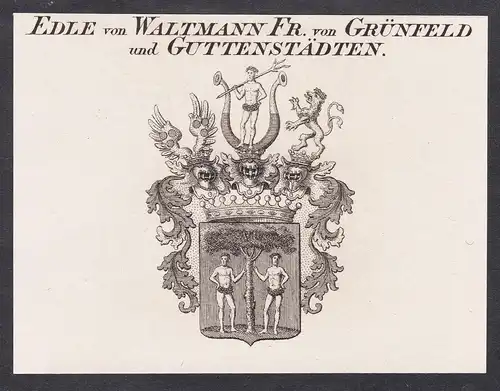 Edle von Waltmann Fr. von Grünfeld und Guttenstädten - Wappen coat of arms