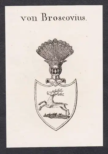von Broscovius - Wappen coat of arms