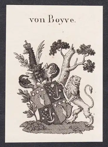von Boyve - Wappen coat of arms