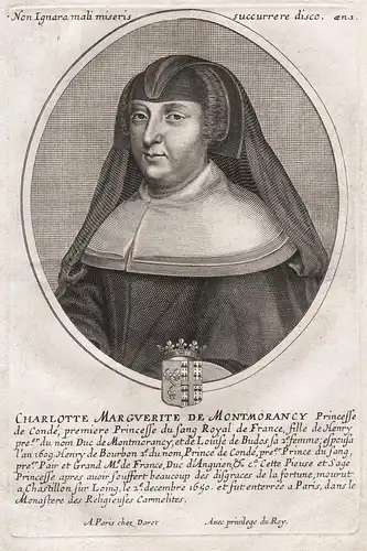 Charlotte Marguerite de Montmorancy... - Charlotte Marguerite de Montmorency (1594-1650) Portrait