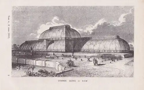 Grande Serre de Kew - Kew London England greenhouse Ansicht view