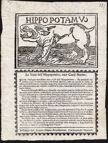 Hippopotamus. La Virtu dell'Hippopotamo, over Caval Marino.