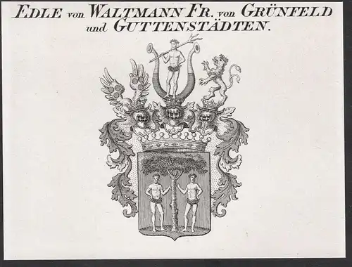 Edle von Waltmann Fr. von Grünfeld und Guttenstädten - Wappen coat of arms