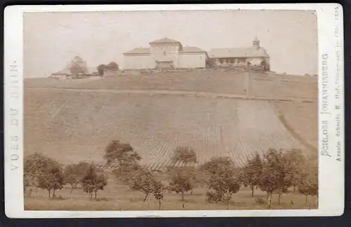 Vues du Rhin. Schloss Johannisberg.  - Geisenheim Hessen Foto Photo Fotografie photograph CDV