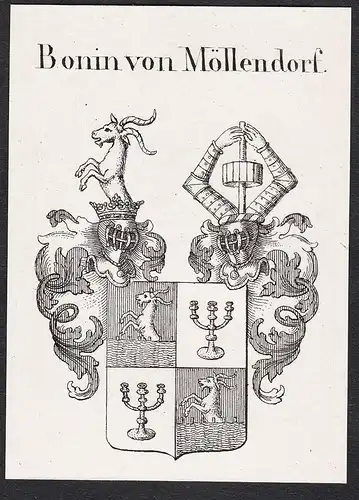 Bonin von Möllendorf - Wappen coat of arms
