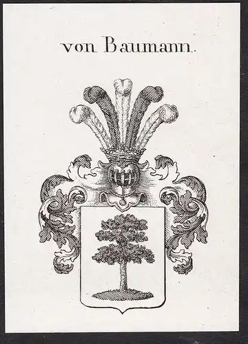 von Baumann - Wappen coat of arms