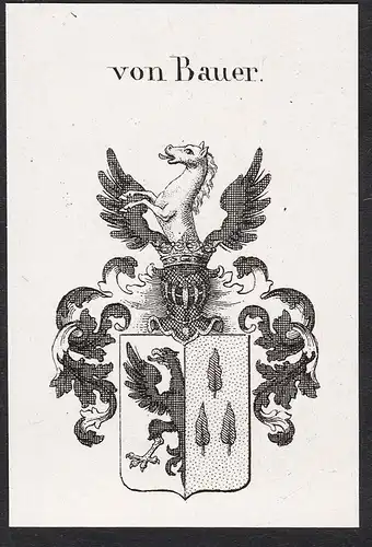 von Bauer - Wappen coat of arms